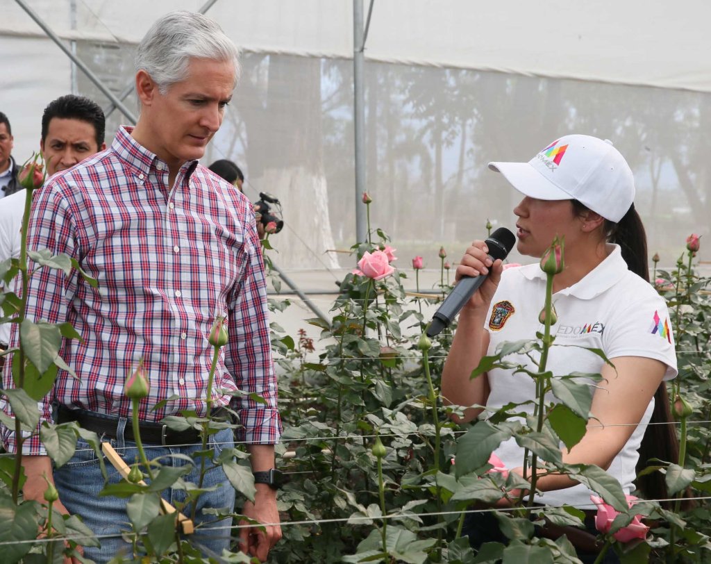 Es Edomex líder nacional en producción de flores por apoyo destinado al sector: ADM